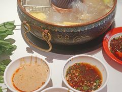 -董记老清泉·鲜切涮羊肉(窑岭店)