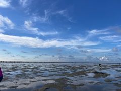 -北海金海湾红树林生态旅游区