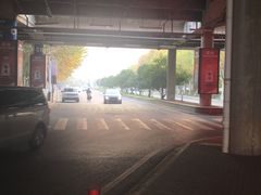 -南京奥林匹克体育中心-体育馆