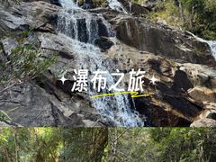 -霸王岭国家森林公园