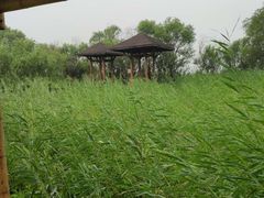 -处女泉风景名胜区
