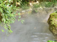 -深圳仙湖植物园