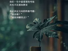 -曼朗心理咨询·旗舰店