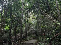 -七仙岭温泉国家森林公园