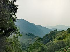 -西湖风景区十里琅珰-五云山