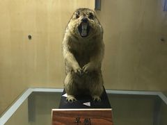 -陕西自然博物馆