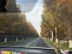 -黄海国家森林公园