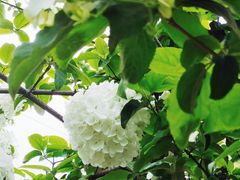 -大龙山(地铁站)