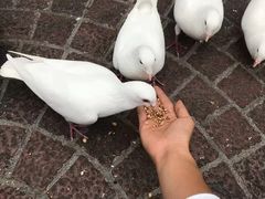 -东部华侨城
