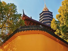 -红梅公园