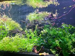 -上海海洋水族馆