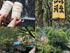 -宁波五龙潭景区