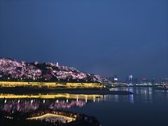 -中国宜宾·长江地标广场