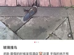 -泰安东尊华美达广场酒店(泰山景区店)