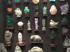 -美国自然历史博物馆