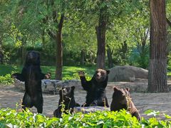 -北京野生动物园