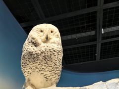 -陕西自然博物馆