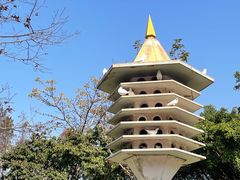 -顺峰山公园