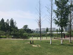 -田园东方蜜桃村的田野营地