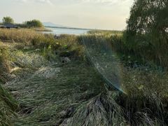 -太湖湖滨国家湿地公园-停车场