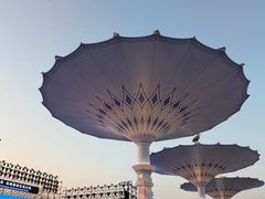 -东港音乐喷泉广场