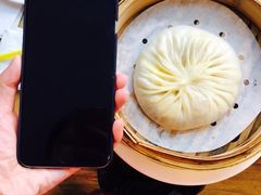 -朱洪元苏式面馆(绿宝广场店)