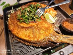 -云海肴·汽锅鸡·云南菜(天津国金汇店)