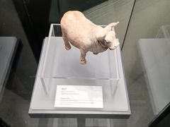 -隋唐大运河文化博物馆
