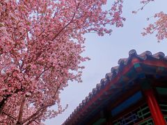 -济南大明湖景区