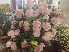 -又见炊烟．纳西小院云南菜