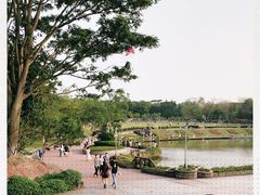 -东莞植物园