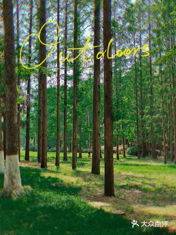 中山植物园 — 到金陵一定要去的打卡圣地