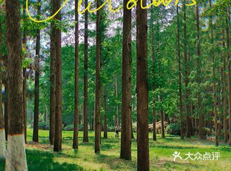 中山植物园 — 到金陵一定要去的打卡圣地