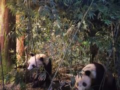 -天津自然博物馆