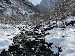 -秦岭风景区
