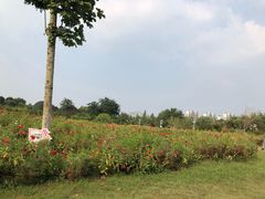 -济南国际园博园