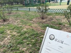 -太阳宫公园