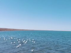 -青海湖国家重点风景名胜区