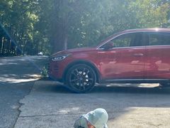 -南汇嘴观海公园