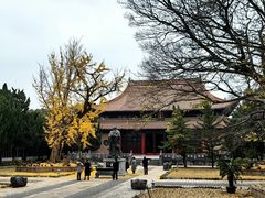 -苏州文庙(姑苏区)