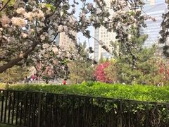-元大都城垣遗址公园