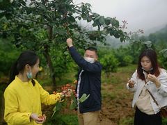 -樱桃山旅游景区