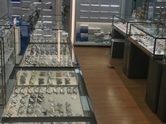 -优视觉视光中心•青少年近视防控(新世界中心写字楼店)