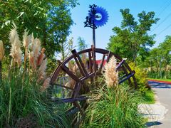 -上海长兴岛郊野公园