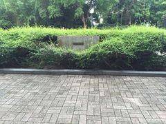 -九龙公园