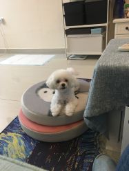 -肌理言健康美肌驻颜所