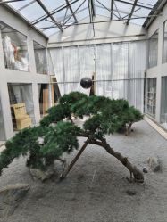 -CD视觉婚纱摄影