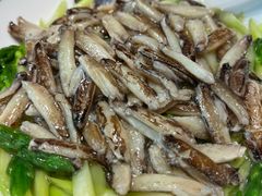 -新光酒家·河豚·海鲜·蟹料理(浦东店)
