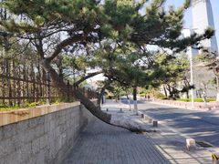 -青岛第三海水浴场