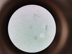 -佳雯宠物医院(四明中路分院)